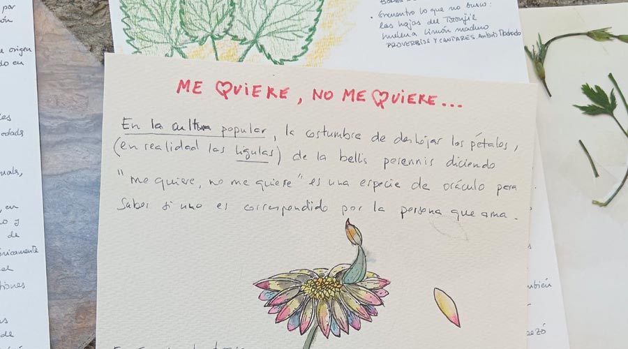 act_lenguaje-02