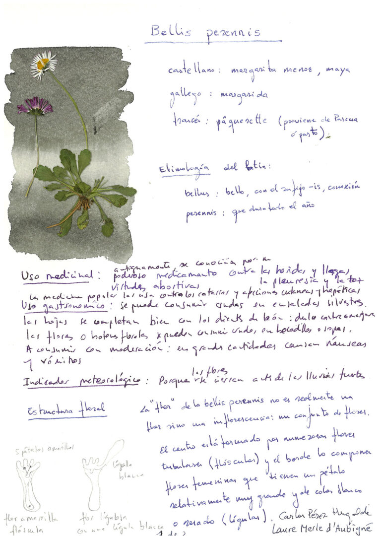 repositorio-01