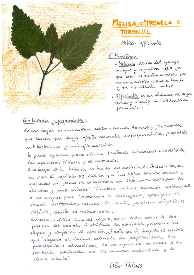 repositorio-03