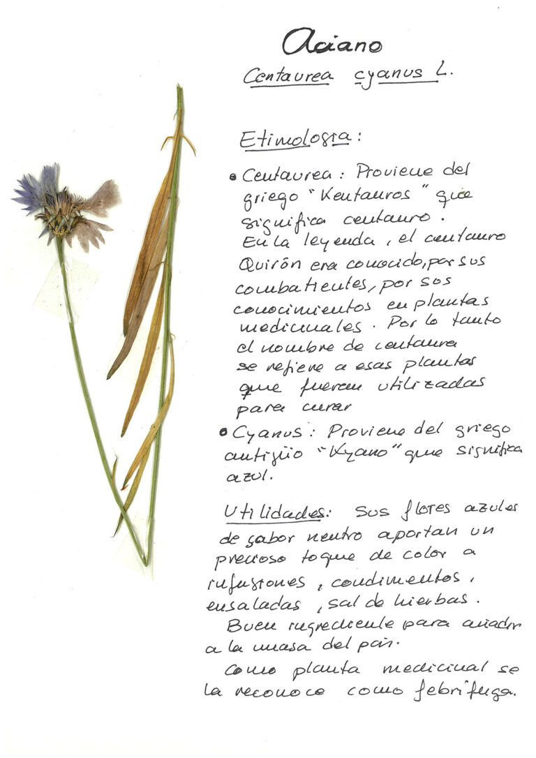 repositorio-06