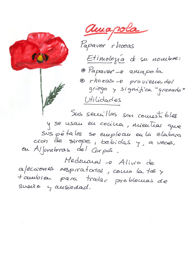 repositorio-07