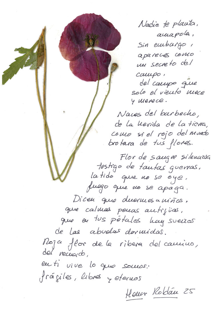 repositorio-08