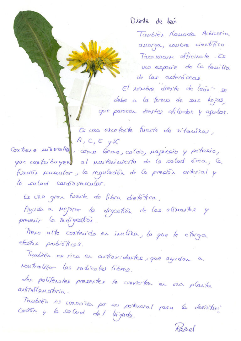 repositorio-09