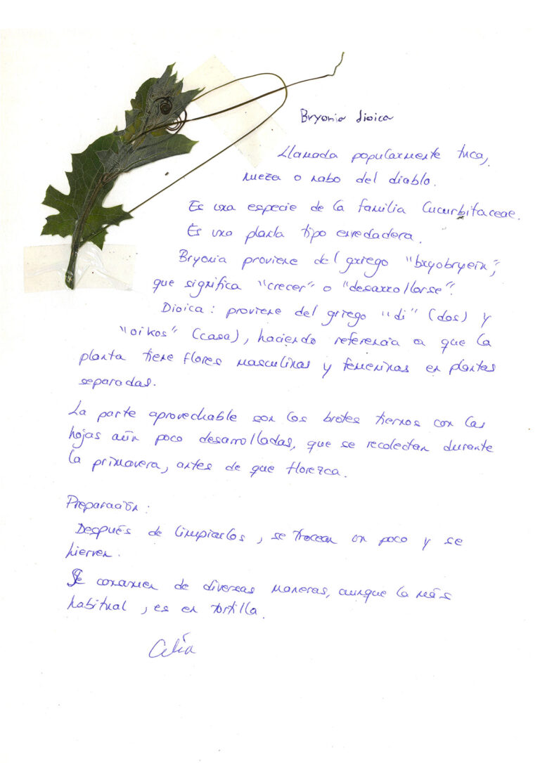 repositorio-10