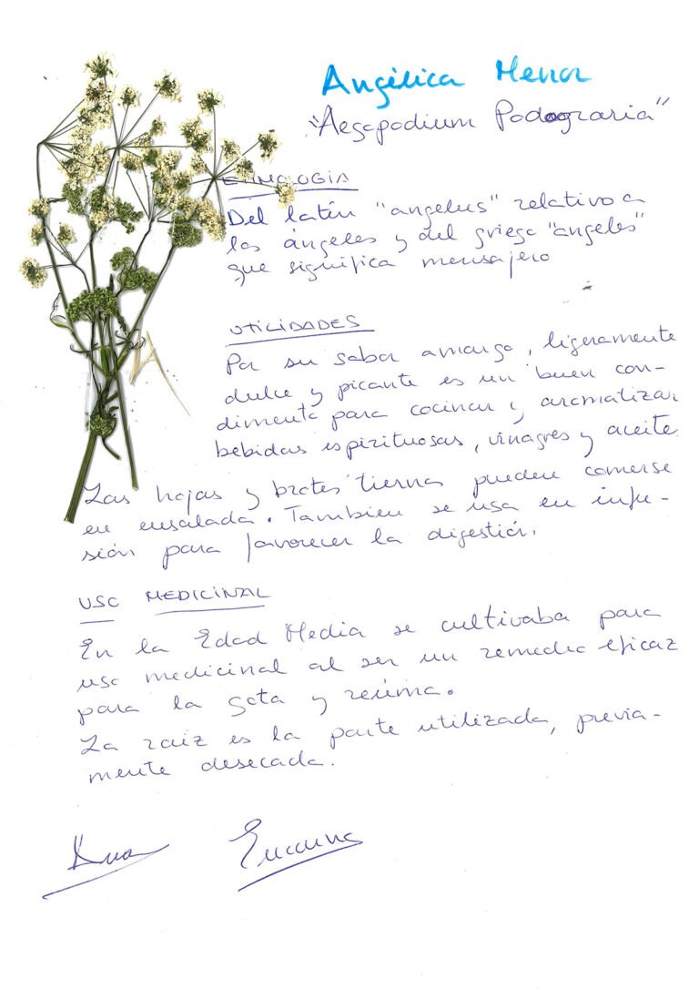 repositorio-11