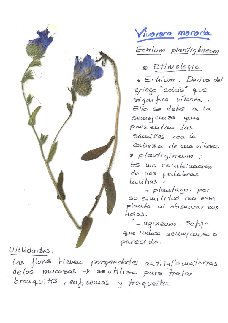 repositorio-12
