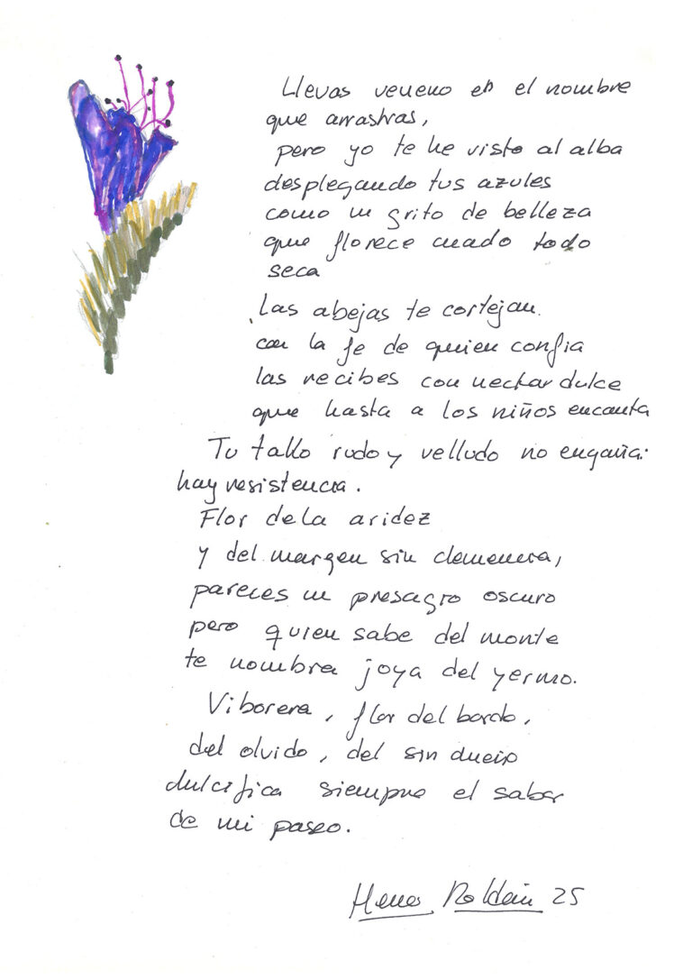 repositorio-13