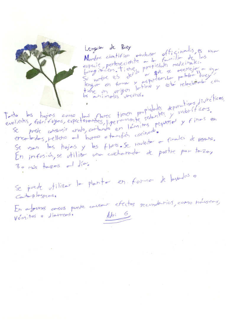 repositorio-14