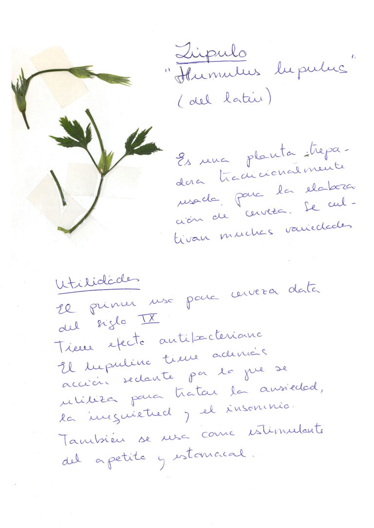 repositorio-15